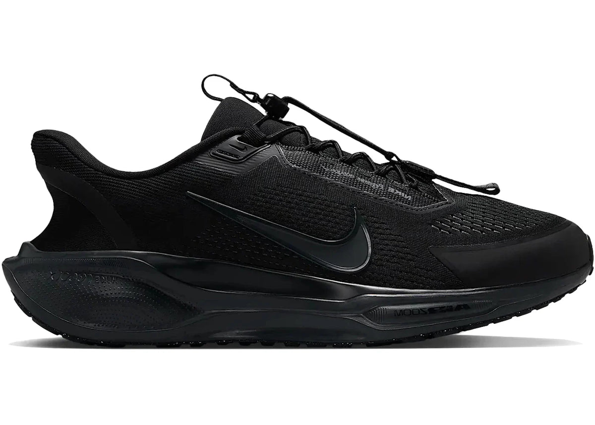 Nike Air Zoom Pegasus 41 EasyOn Black Anthracite – Nike – THE LAB CONCEPT CLUB Bienne