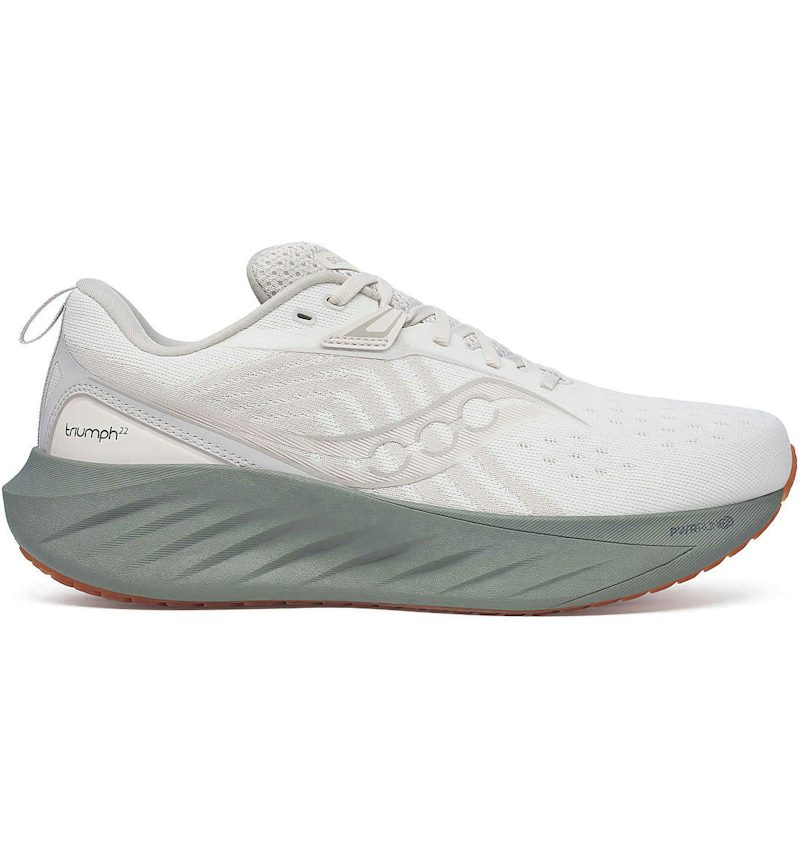 Saucony Triumph 22 Moon Bough – Saucony – THE LAB CONCEPT CLUB Bienne